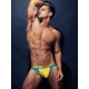 2Eros -Vivid Brief Underwear Coast