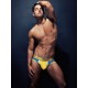 2Eros -Vivid Brief Underwear Coast